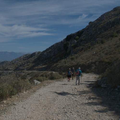 Photo #9358409