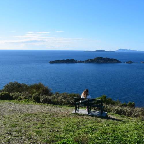 Photo #9358412