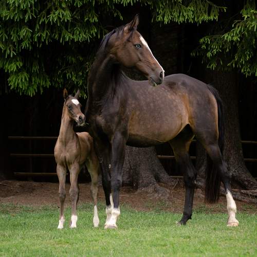 Photo #9358672