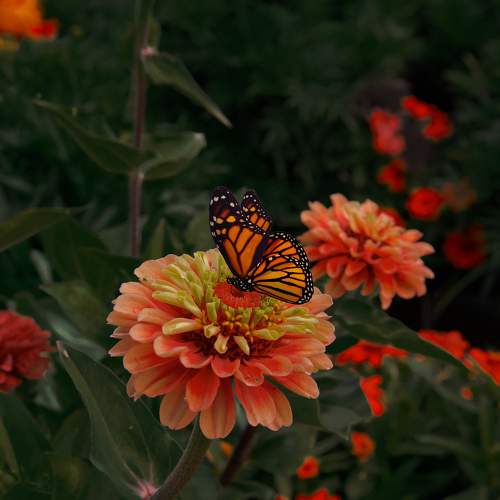 Photo #9359347