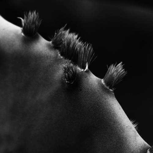 Photo #9359590