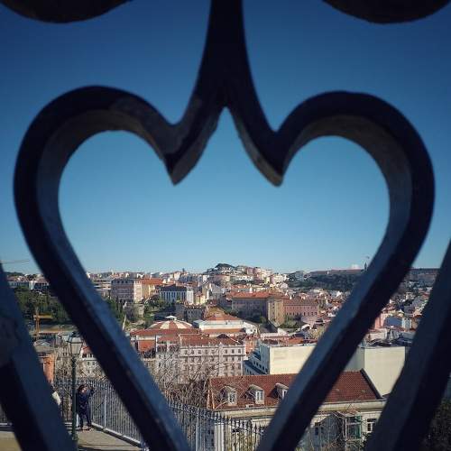 Photo #9359706