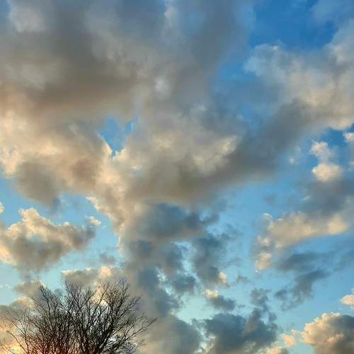 Photo #9359824