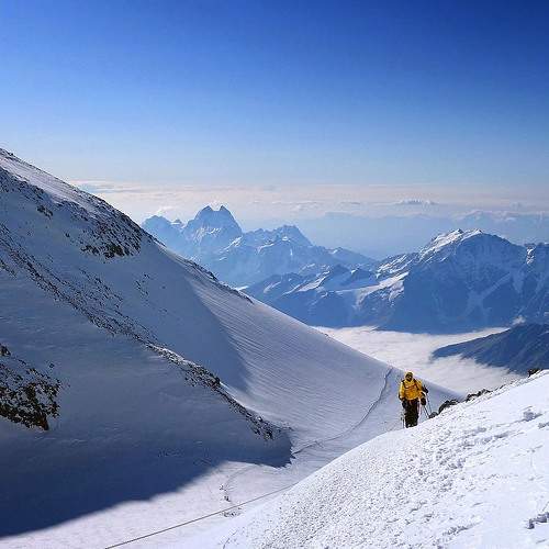 Photo #9360231