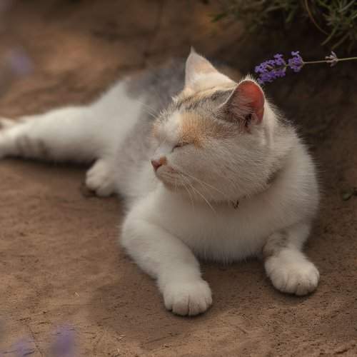 Фотография #9360322