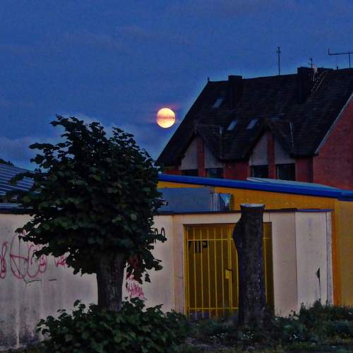 Photo #9360353