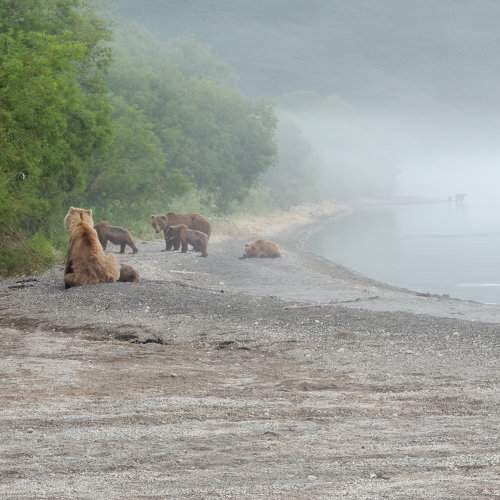 Photo #9360601