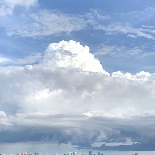 Photo #9360732