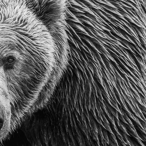 Фотография #9360788