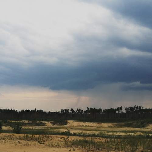 Photo #9360825