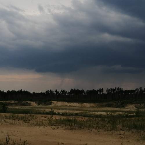 Photo #9360829