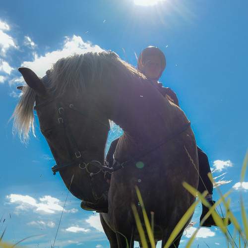 Photo #9361449