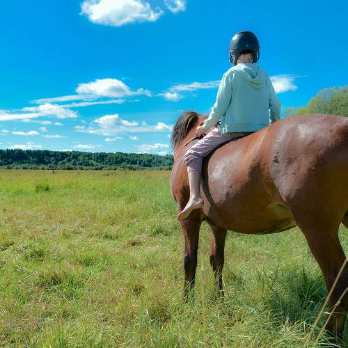 Photo #9361450