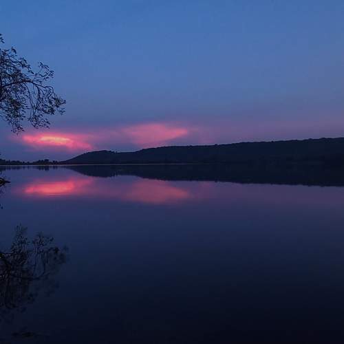 Photo #9361488