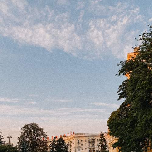 Photo #9361553