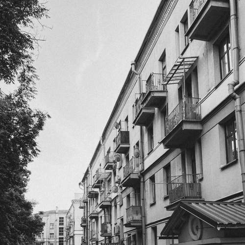 Photo #9361554