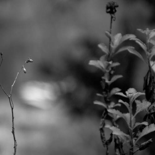 Photo #9361762