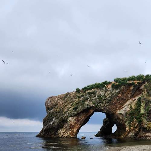 Photo #9362502