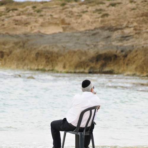 Photo #9362634