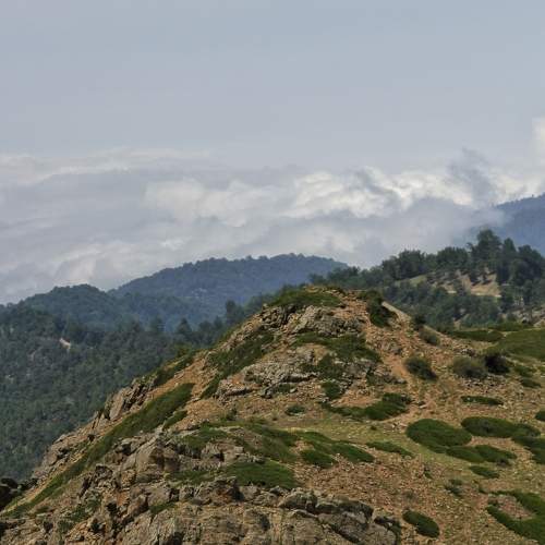 Photo #9362988
