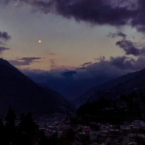 Photo #9364177