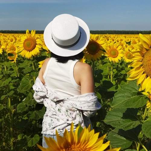 Photo #9364232