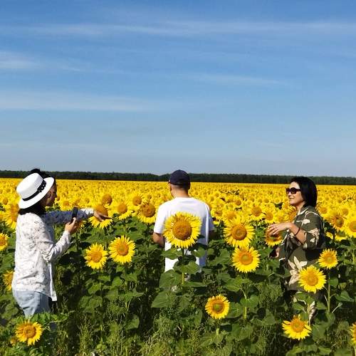 Photo #9364234
