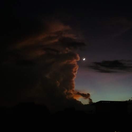 Photo #9364384