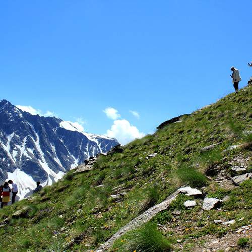 Photo #9364856