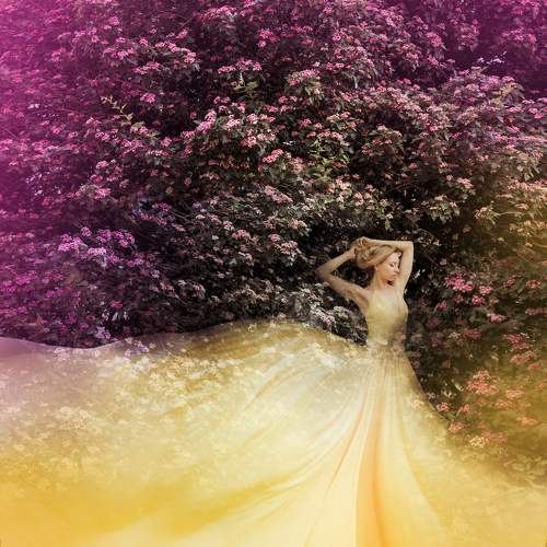 Photo #9365629