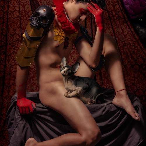 Photo #9365804