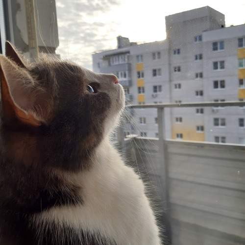 Photo #9366059