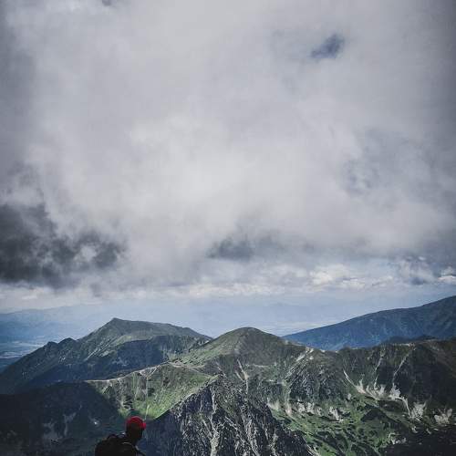 Photo #9366145