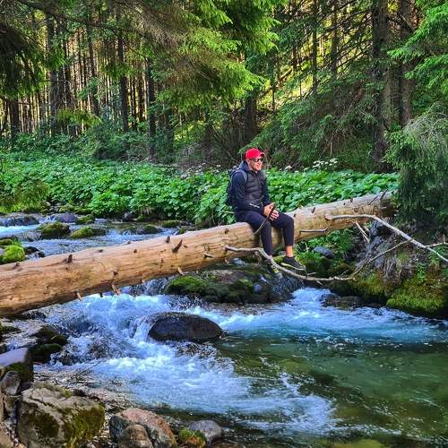 Photo #9366146