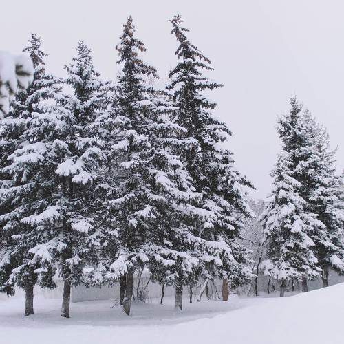 Photo #9366731