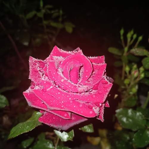 Photo #9366871