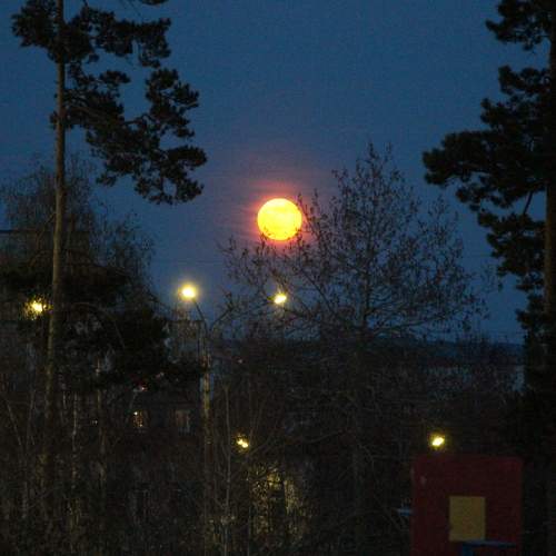 Photo #9367398