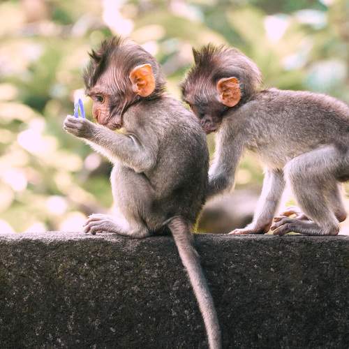 Photo #9367458