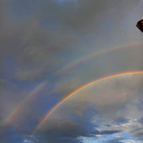 Photo #9367860