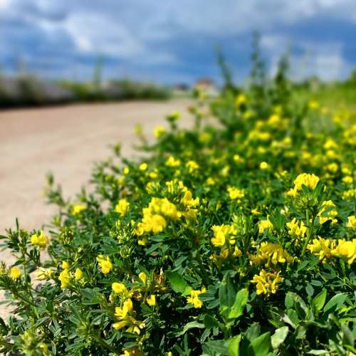 Photo #9367864