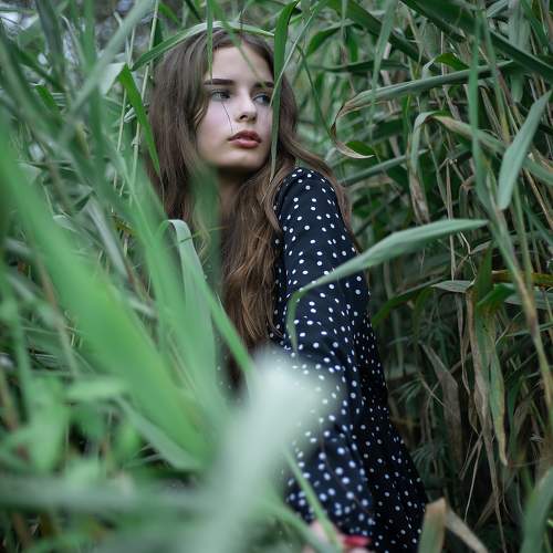 Photo #9368489