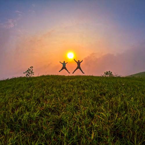 Reach for the sun!