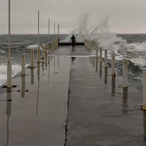 Photo #9368732