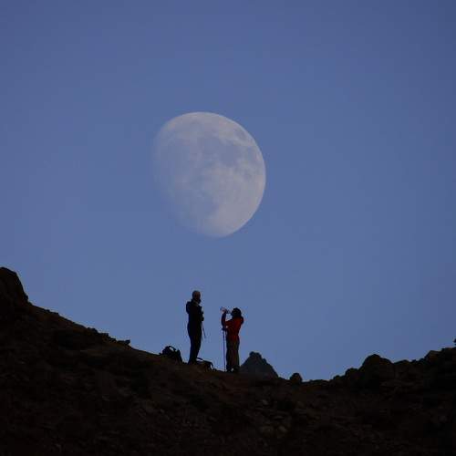 Photo #9369512