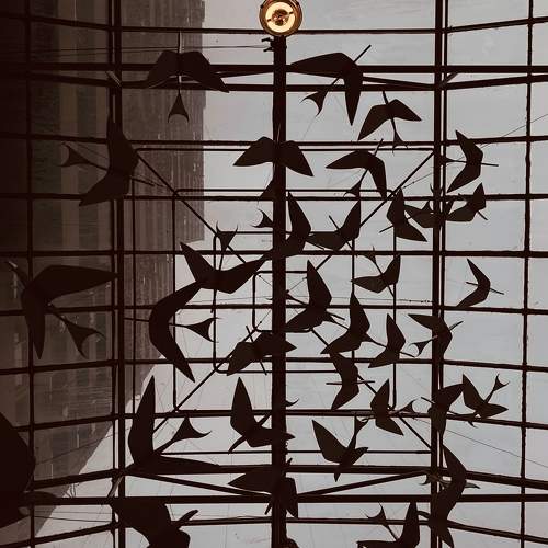 Photo #9369783