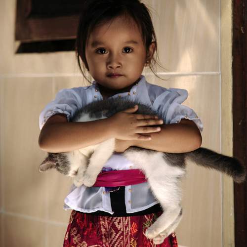 Photo #9371249