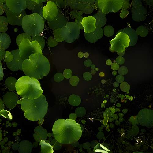 Photo #9371353