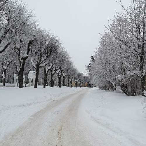 Photo #9371725