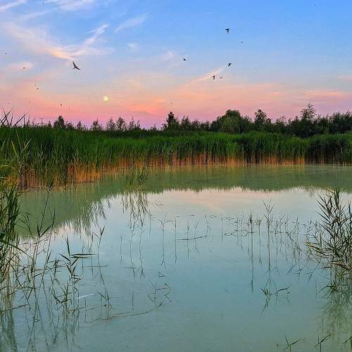 Photo #9371911