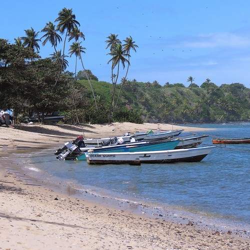 Photo #9372178